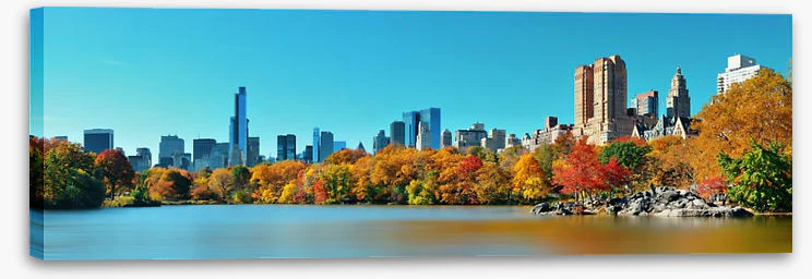 Central Park in Autumn - Image 2