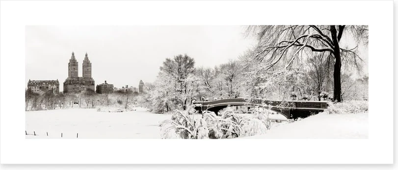 Central Park winter - Image 2