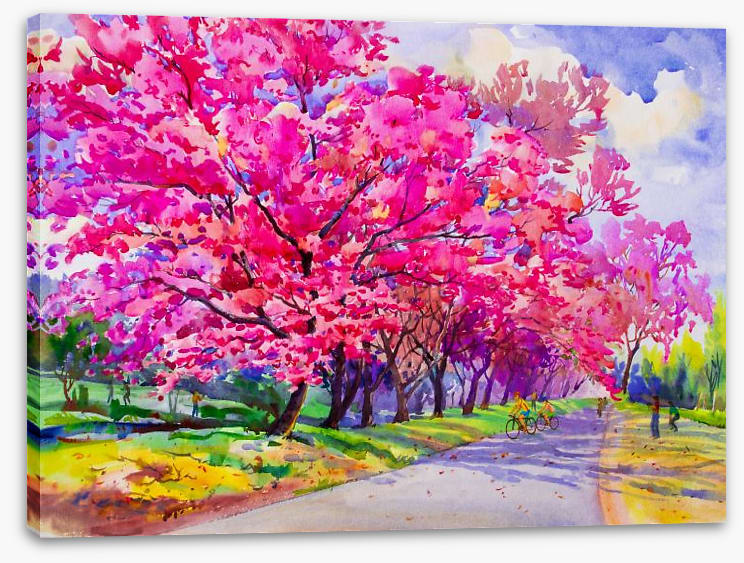 Cherry blossom path - Image 2