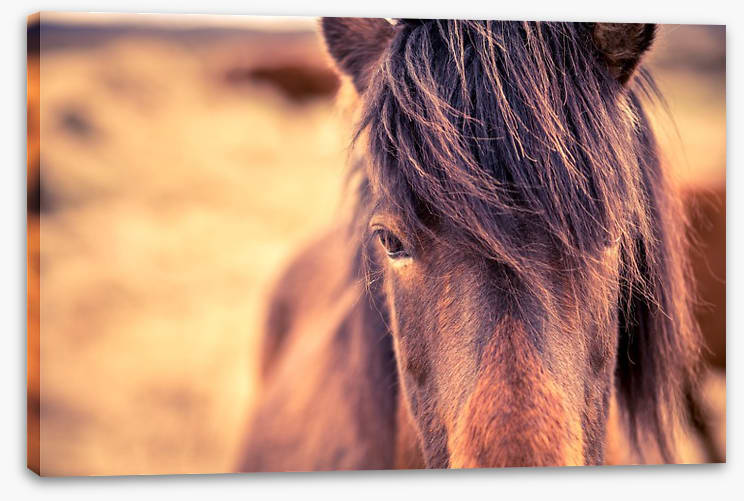 Chestnut bangs - Image 2