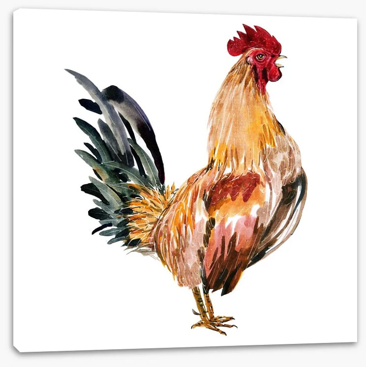 Chicken licken - Image 2