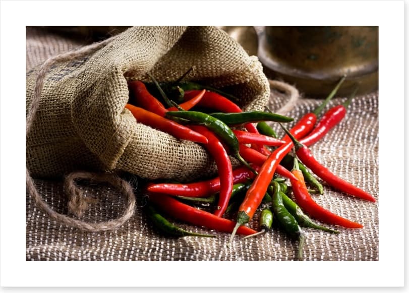 Chili pepper still life - Image 2