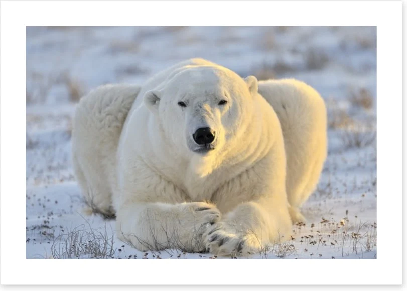 Chilling out - Image 2
