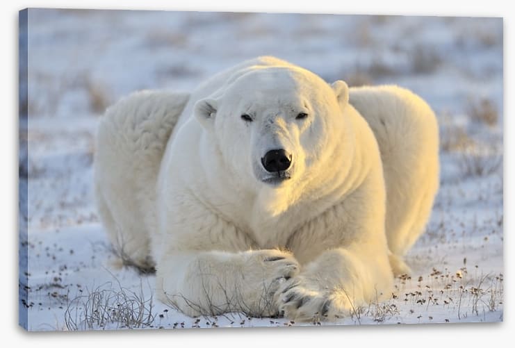 Chilling out - Image 2