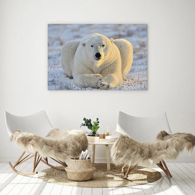 Chilling out - Image 4