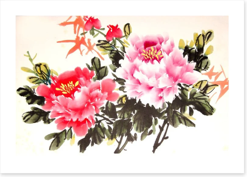 Chinese peony - Image 2