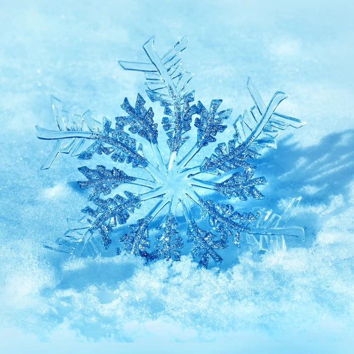 Frozen flake