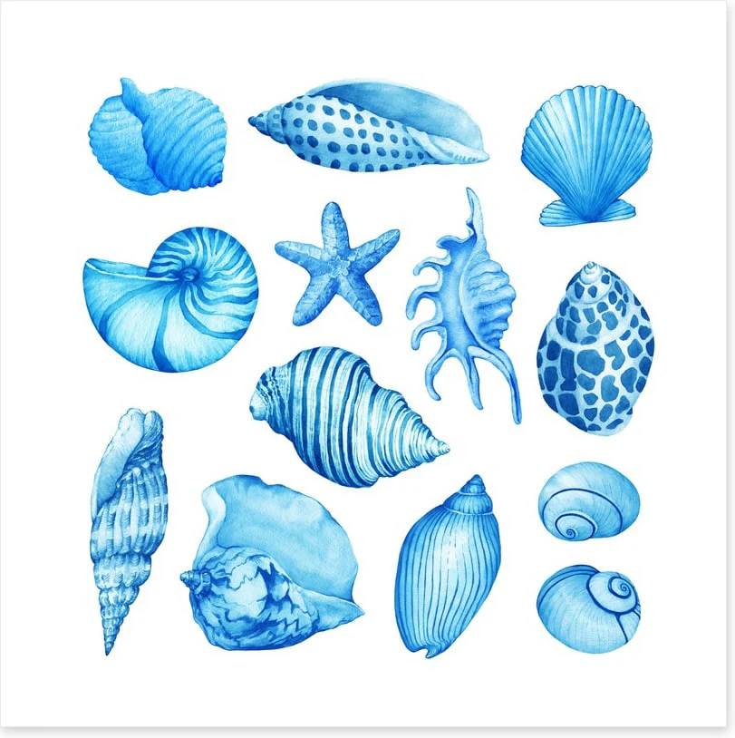 Coastal collection - Image 2