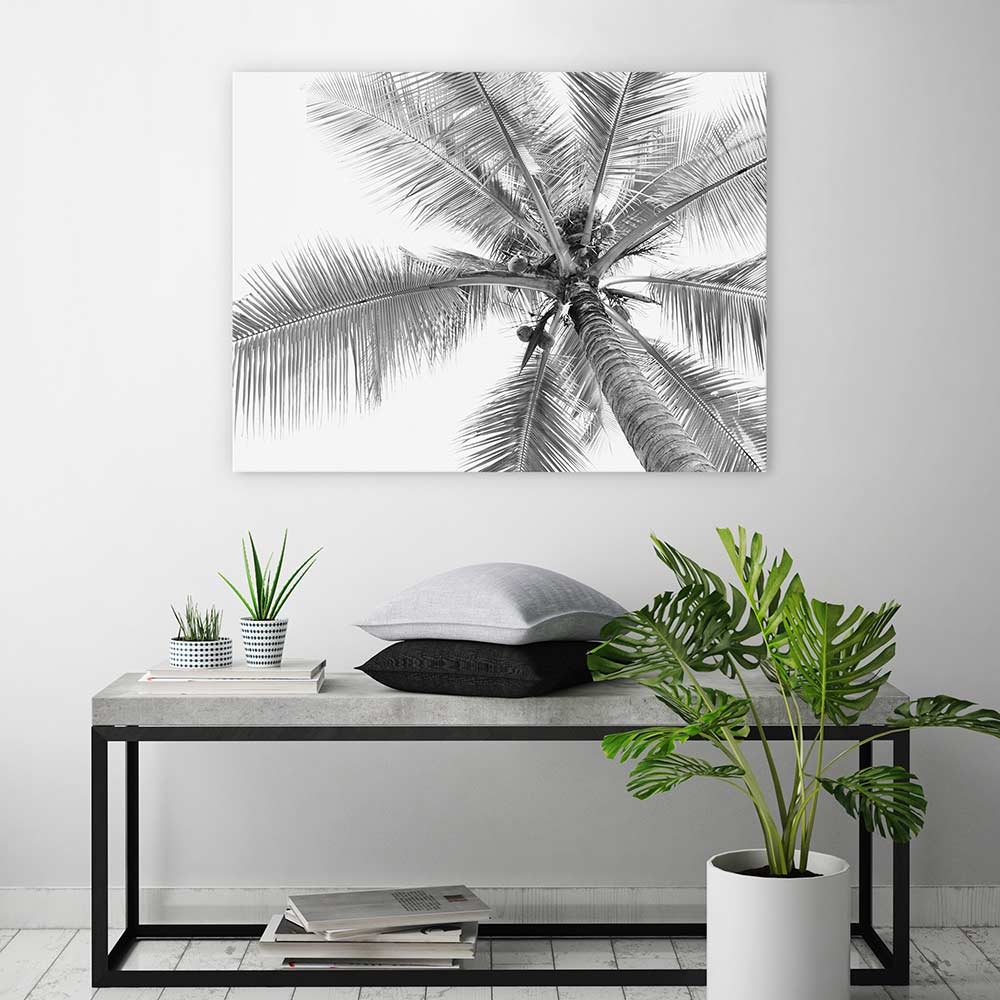 Coconut canopy - Image 3