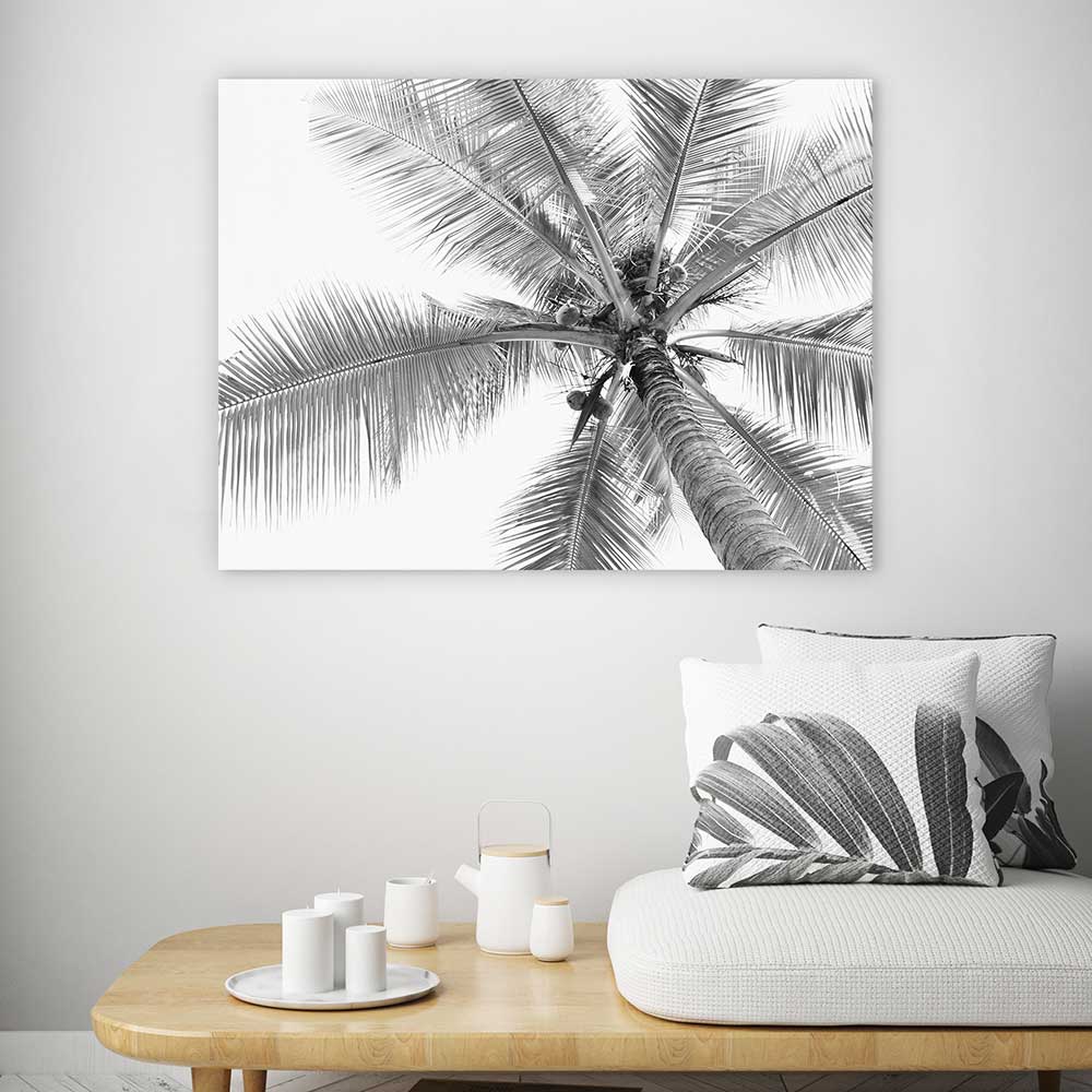 Coconut canopy - Image 4