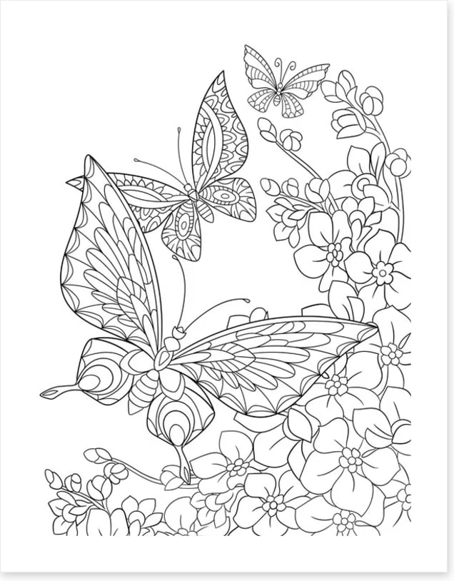 Colour me butterflies - Image 2