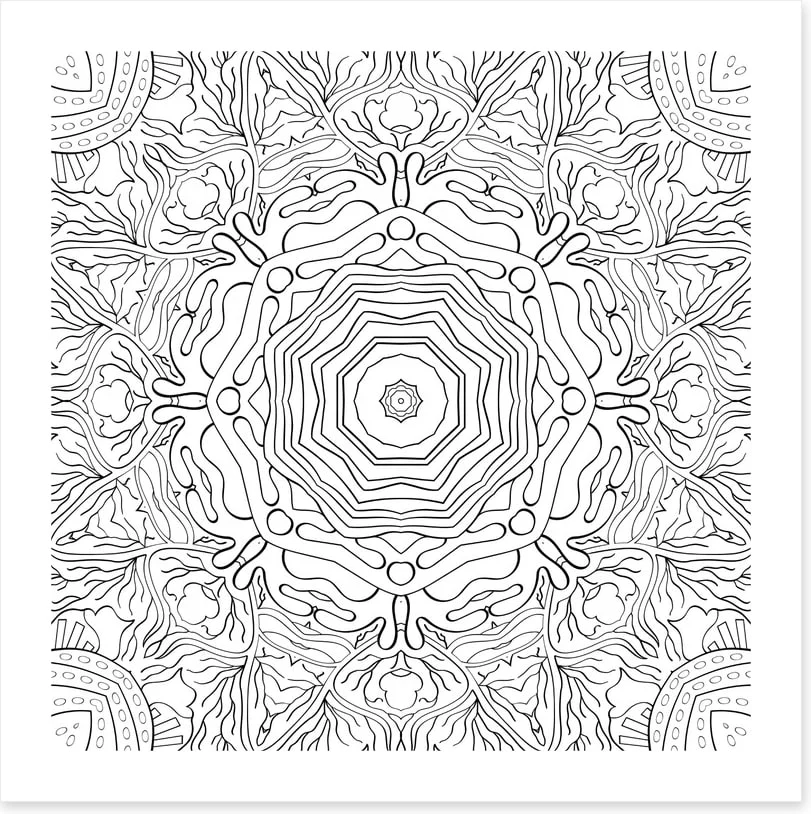 Colour me coral - Image 2
