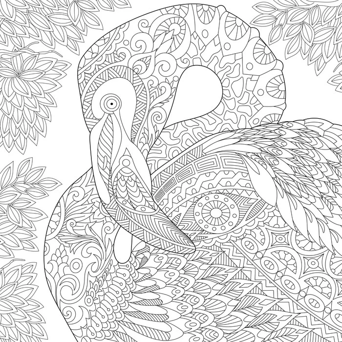 Colour me flamingo