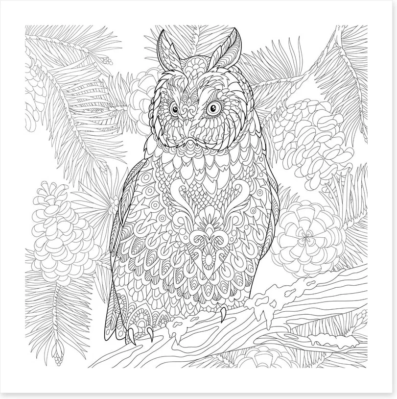 Colour me owl - Image 2