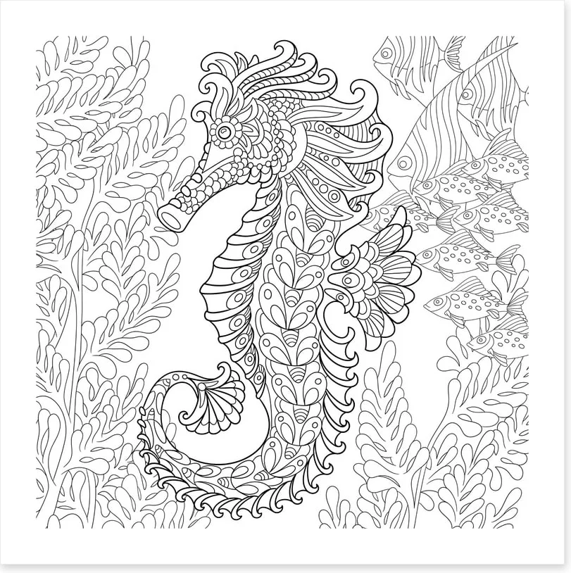 Colour me seahorse - Image 2