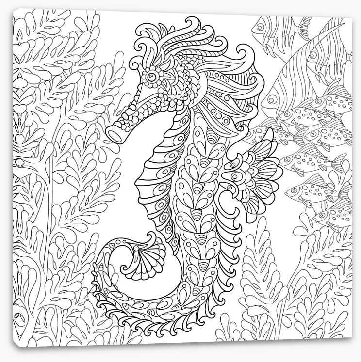 Colour me seahorse - Image 2
