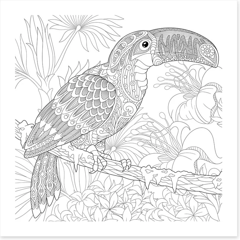 Colour me toucan - Image 2