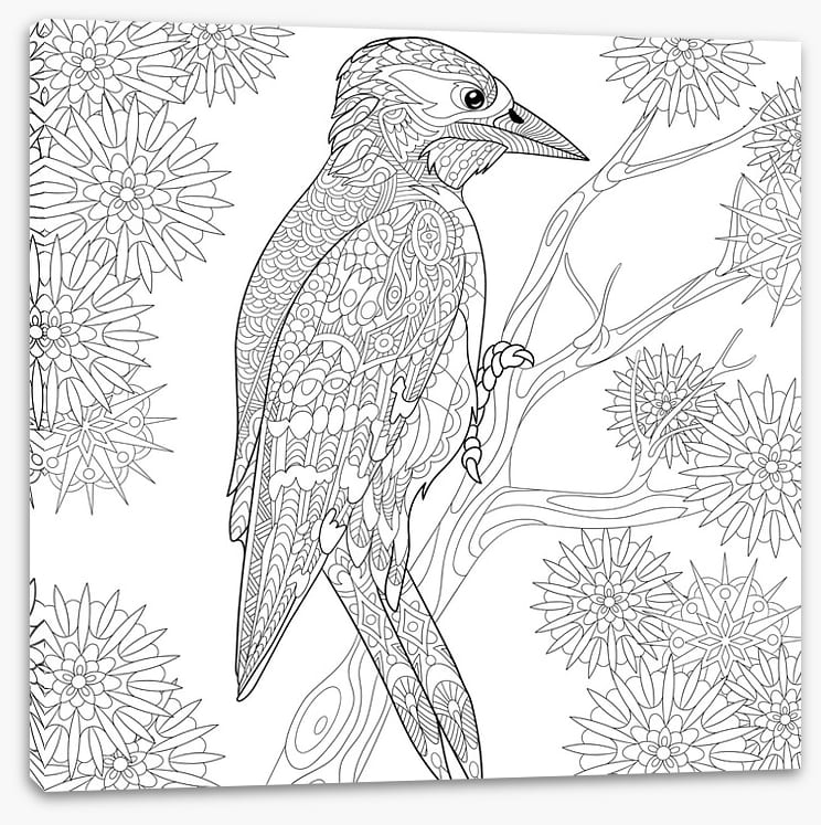 Colour me woodpecker - Image 2