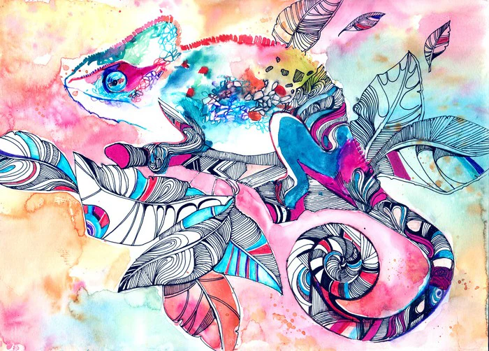 Colourful chameleon