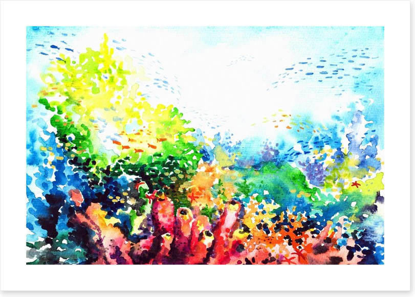 Colourful coral - Image 2