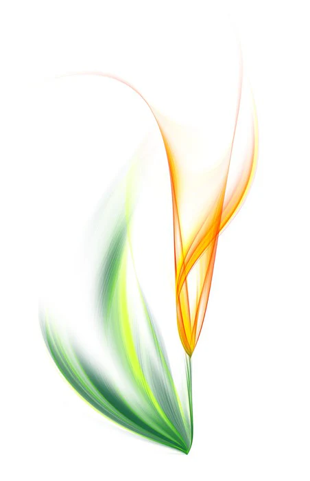 One yellow tulip