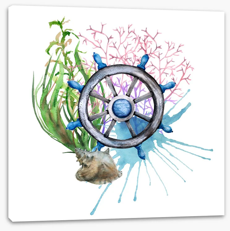 Coral cruise - Image 2