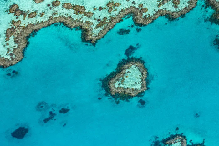 Coral reef heart