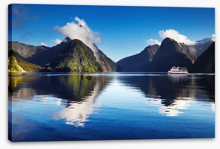 Cruising Milford Sound - Image 2