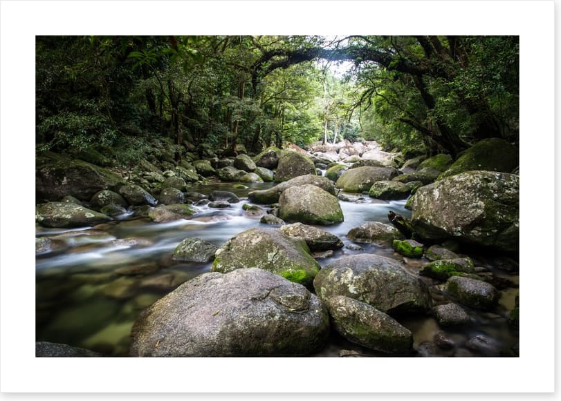Deep in Mossman Gorge - Image 2