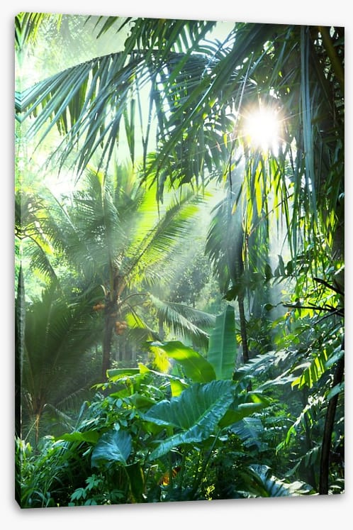Deep in the jungle - Image 2