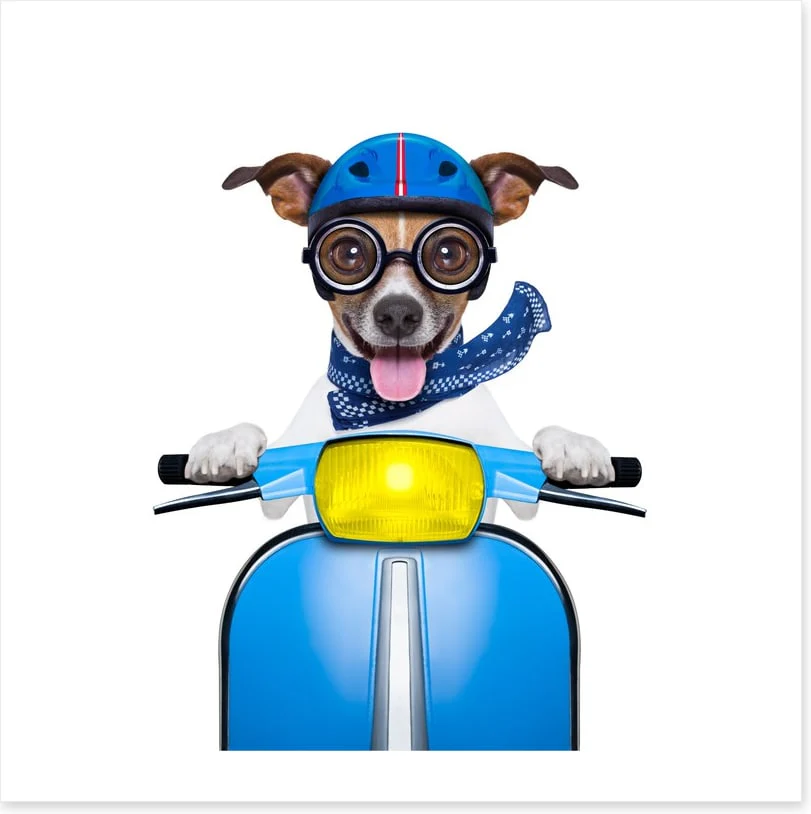 Delivery dog - Image 2