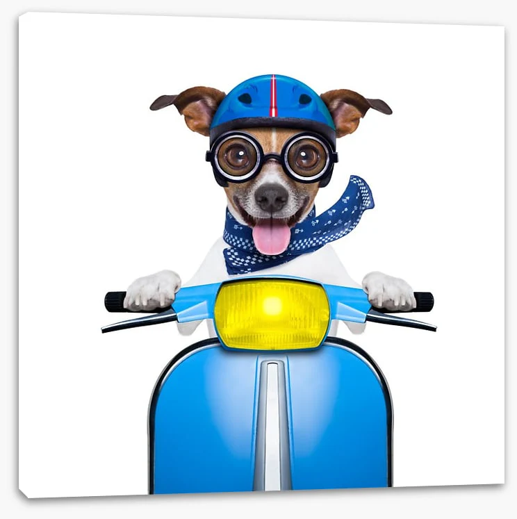 Delivery dog - Image 2
