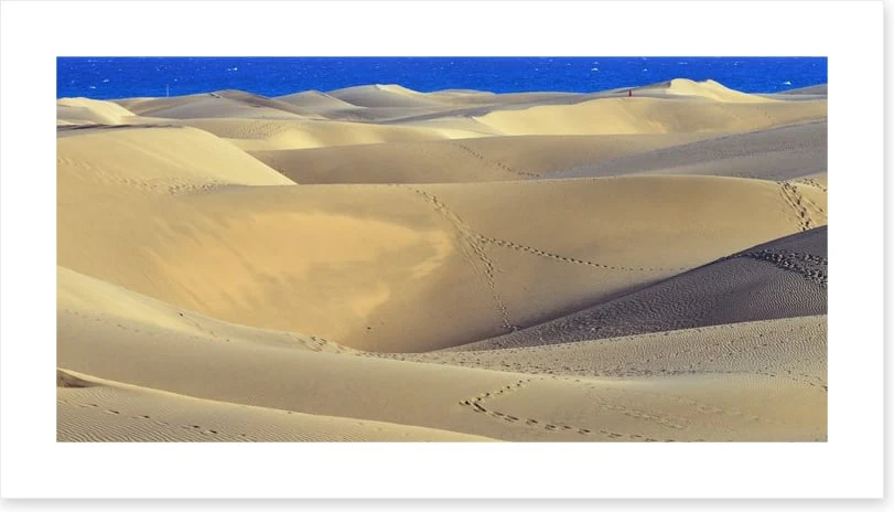Desert - Image 2