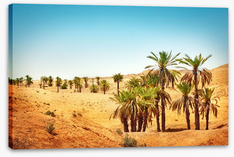 Desert - Image 2