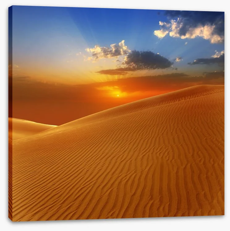 Desert - Image 2