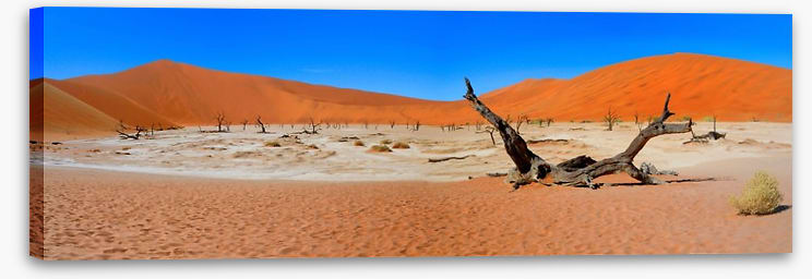 Desert - Image 2
