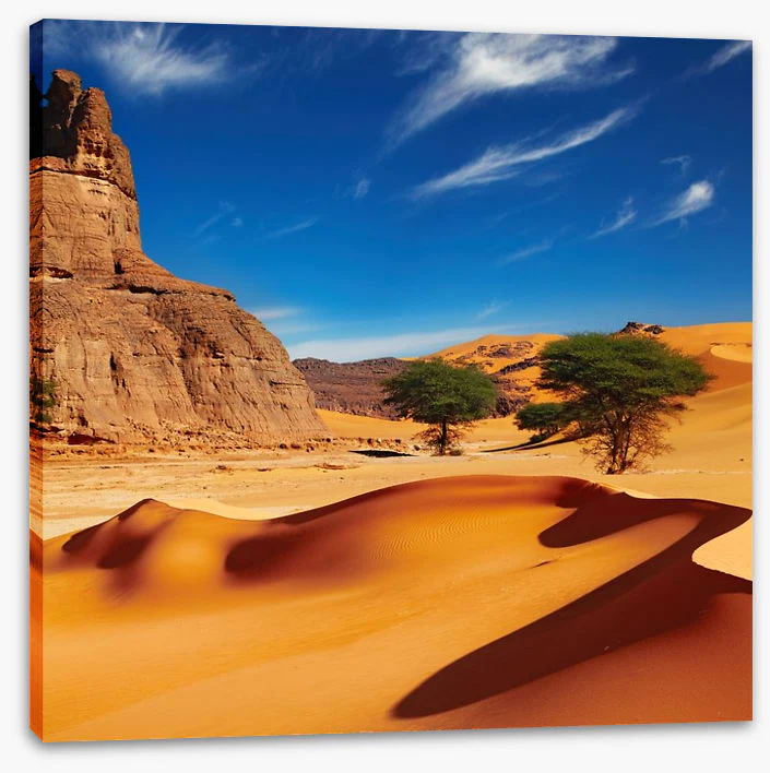 Desert - Image 2