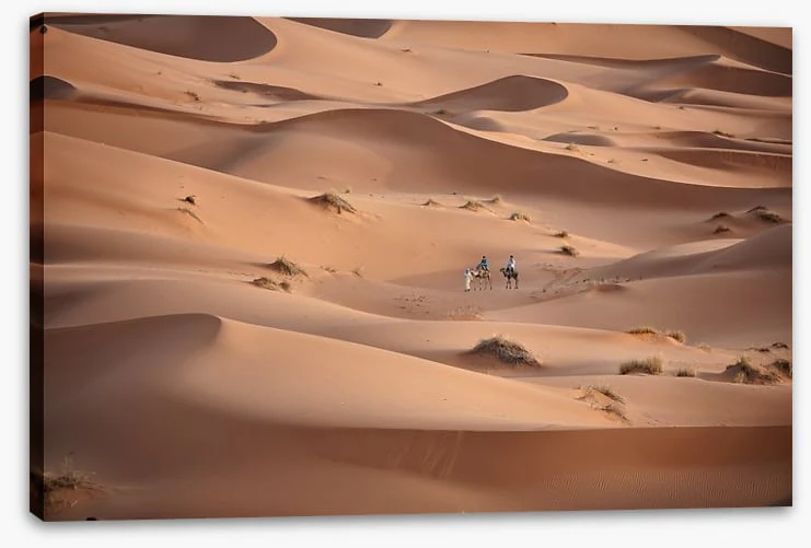 Desert - Image 2