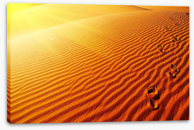 Desert - Image 2