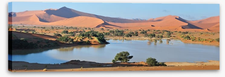 Desert - Image 2