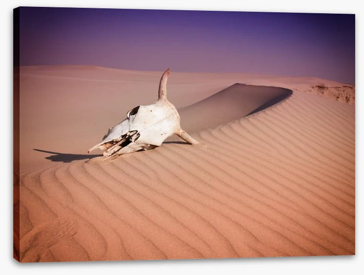 Desert - Image 2