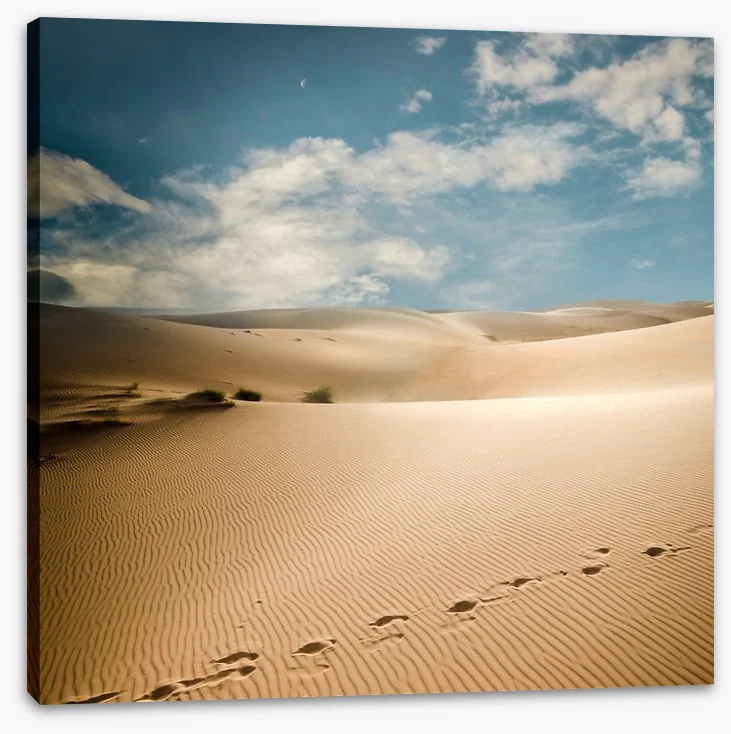 Desert - Image 2