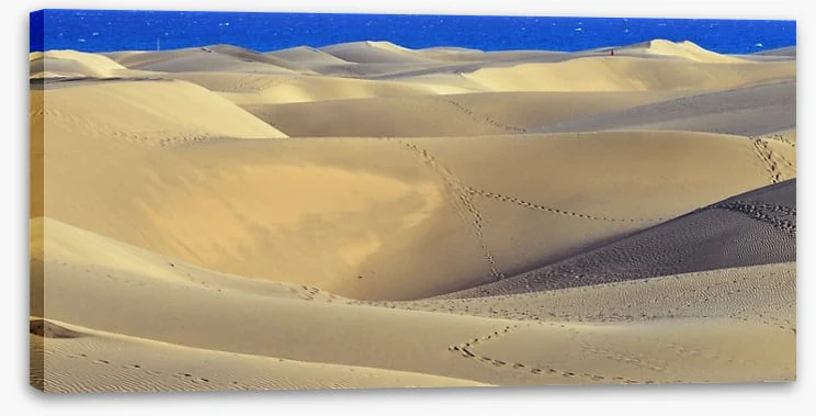 Desert - Image 2