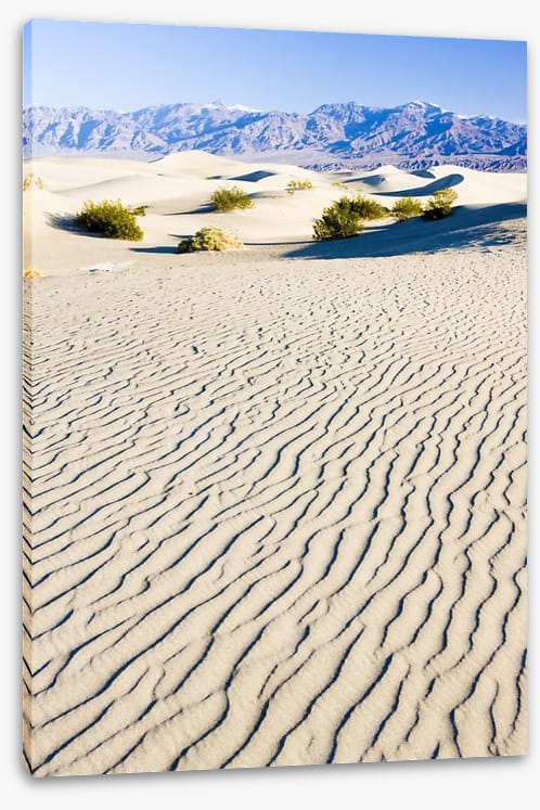 Desert - Image 2