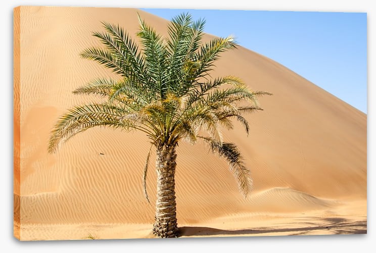 Desert - Image 2