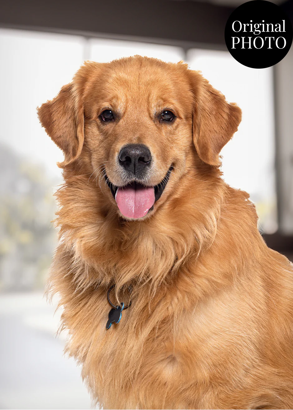 Personalised Dog Oil-Inspired Portrait | Custom Pet Art on Canvas - Image 3