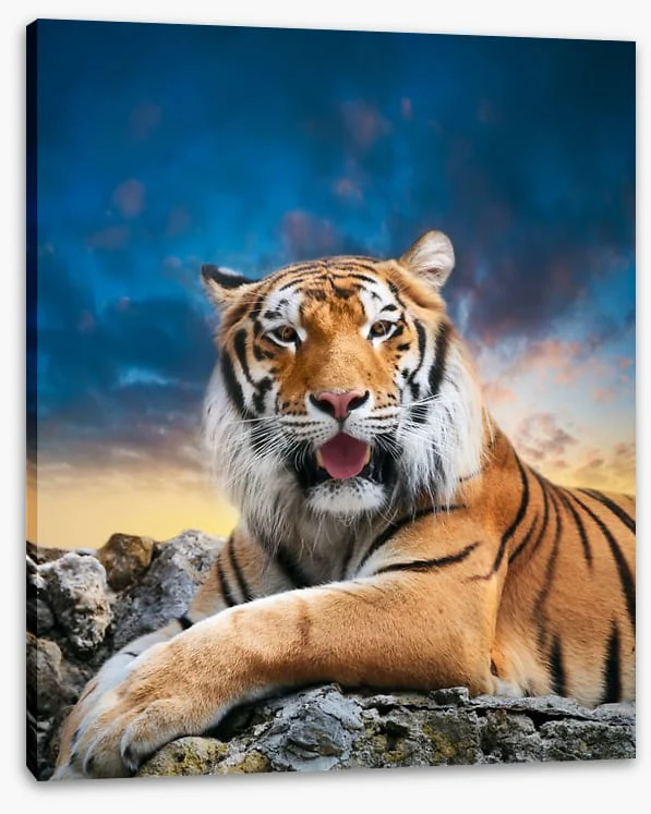 Don't mess with the tigress - Image 2