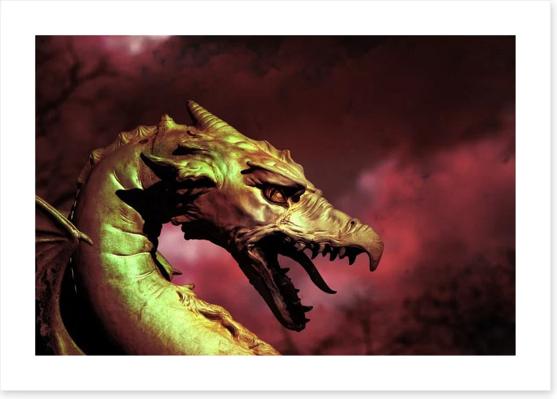 Dragons - Image 2