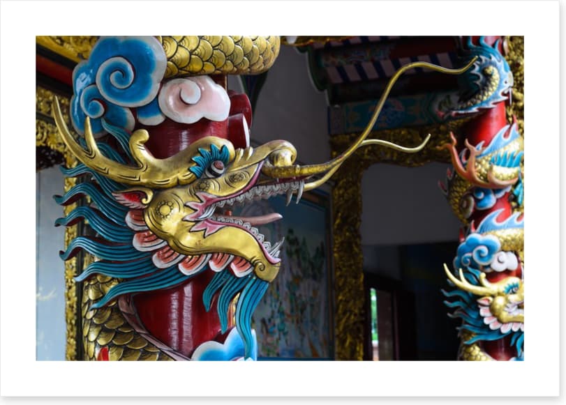 Dragons - Image 2