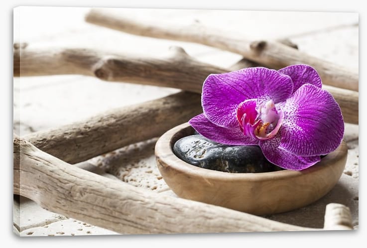 Driftwood orchid - Image 2